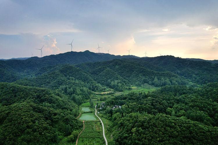 河南光山：念好乡村“山水经” 走好“环山振兴路”